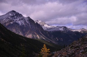 DSC_3809_JasperNatPark