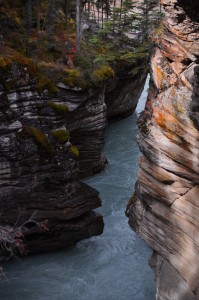 DSC_4008_AthabascaFalls_JasperNatPark