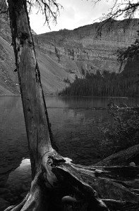 DSC_4167_RossLake_BanffNatPark