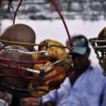 DSC_2007_mompox