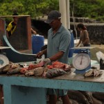 DSC_4366_FishMarketPuertoAyora