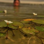 DSC_7280_LencoisMaranenses