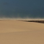 DSC_8057_LencoisMaranenses