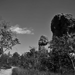 DSC_8239_SeteCidades